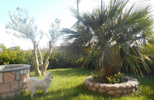 Divjake Apartment | The Garden Guest House
