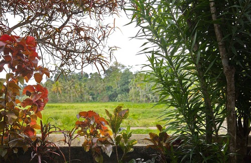 Bope-Poddala Villa | The Gatehouse at 9 Provinces Estate, Private Pool, AC & WiFi