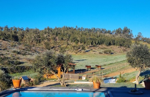 Sao Luis Villa | The Gecko Pego Longo quinta and its swimming pool