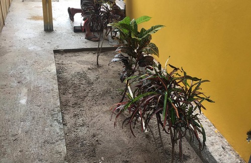 Placencia Apartment | The Great Escape in Belize's Best Tourist Destinations!