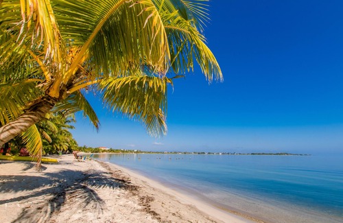Placencia Apartment | The Great Escape in Belize's Best Tourist Destinations!