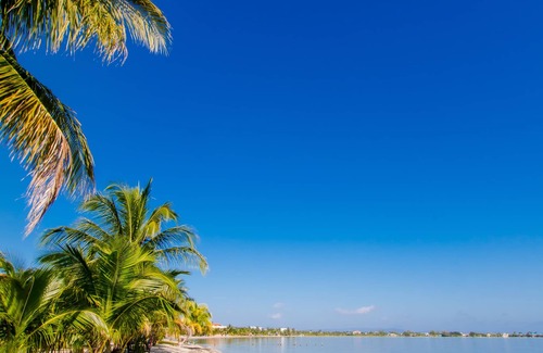 Placencia Apartment | The Great Escape in Belize's Best Tourist Destinations!