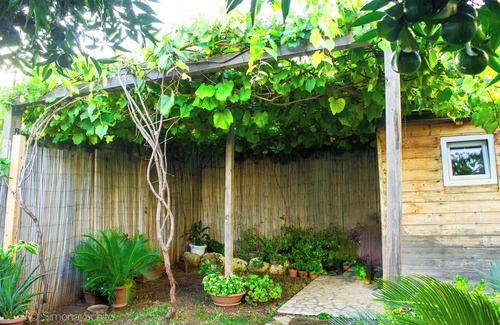 Serrano Apartment | The Green House - Suite with Garden view