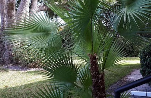Winter Haven House | The Grove House - antique lakefront home on Eagle Lake, Central Florida
