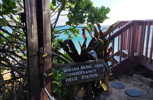 Hauula House | "The Happy Seal" Oceanfront House, watch seals sunbath from our deck while BBQ