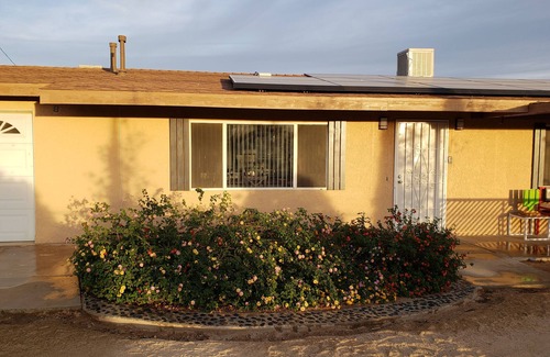 Joshua Tree House | THE HARDROCK HOUSE J.T. pool pet friendly fenced yard
