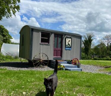 Ballyfoyle Other | The Hares Hut at Carrigeen Glamping
