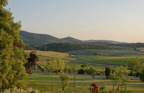 Manciano House | the house in the garden