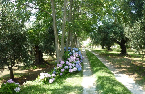 Gizzeria House | The house of Gilda b & b