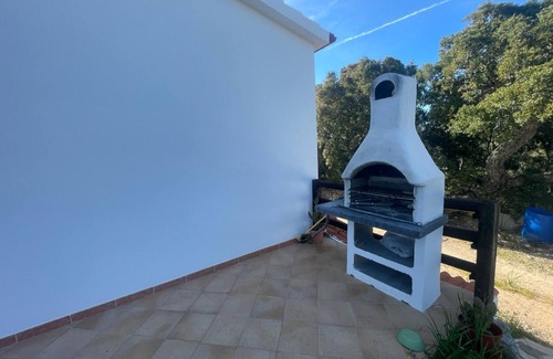 Monti House | The house of olive trees