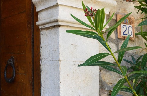 Campolattaro House | THE HOUSE OF ZIA NINA. WHERE ARE THE RECORD OF THE HAPPY DAYS