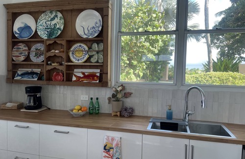 Dorado Pueblo House | The House with a View- Oceanfront Property in Dorado