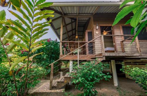 Bocas del Toro Hotel | The Hummingbird