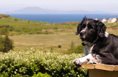 Tullycross Apartment | The Hut at Baywatch Bed & Breakfast