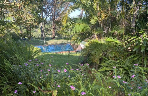Coorabell Apartment | The Hut Byron Bay HInterland