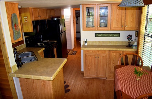 Robbinsville Cabin | The Junction-backwoods tiny home on brook trout stream with mountain ridge view