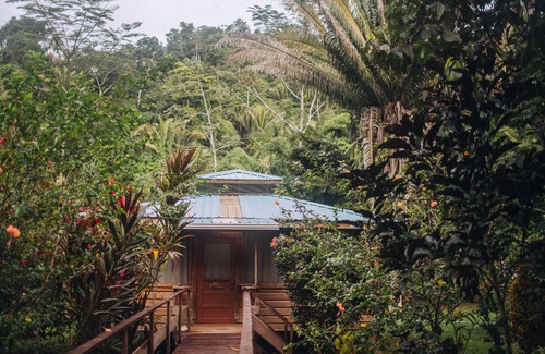 Good Living Camp House | The Jungle Cabana at Jaguar Creek