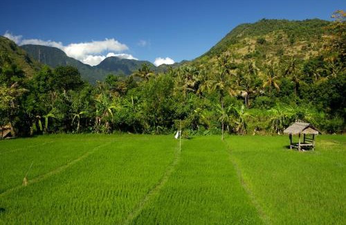 Amed Villa | The Kampung