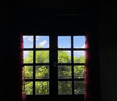 Saint-Pierre House | The Kapokier