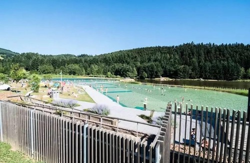 Cublize Ski Chalet | The Lac des Sapins * - Chalet 2 bedrooms + Mezzanine 6 people