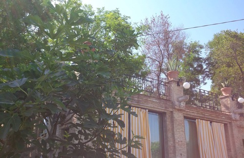 Pollutri House | The limonaia. Ancient, modern and uncontaminated green.