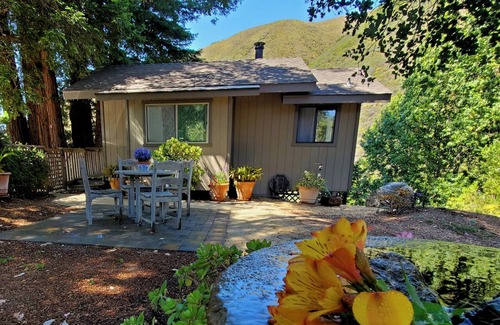 Carmel Cabin | The Little Gem in Big Sur w/Private Hiking & Views