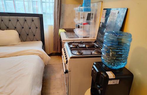 Kidono Apartment | The Little Haven - Ample Parking, Views & Netflix