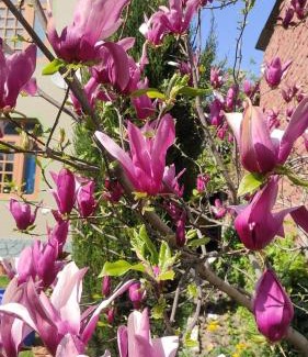 Sudarbal Bed & Breakfast | The Local B&B