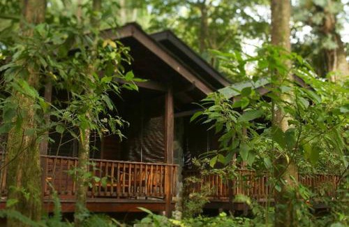 El Pino Cabin | The Lodge & Spa at Pico Bonito