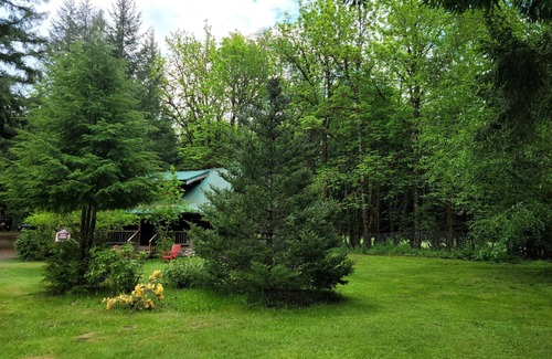 Packwood Cabin | The Log Cabin on 8 acres