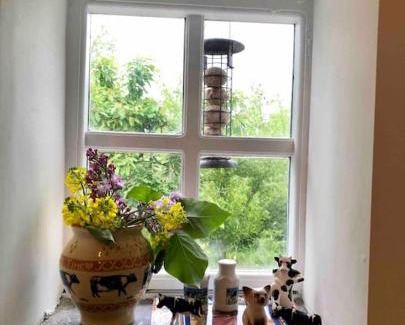 Collinstown House | The Milking Parlour