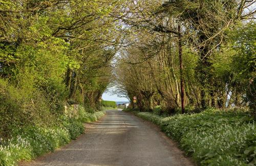 Dungarvan Apartment | The Moat on the Greenway