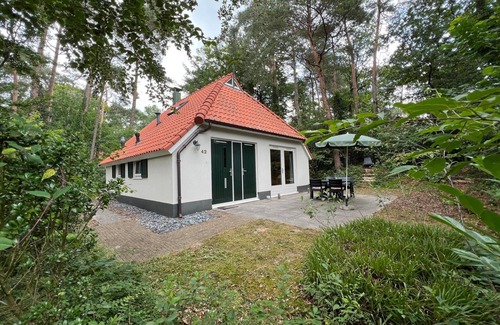IJhorst Cottage | The Molehill - In the middle of the forest
