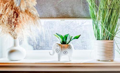 Downtown Memphis Apartment | The Moose #6 - Modern Luxe Studio with Free Parking & King Bed