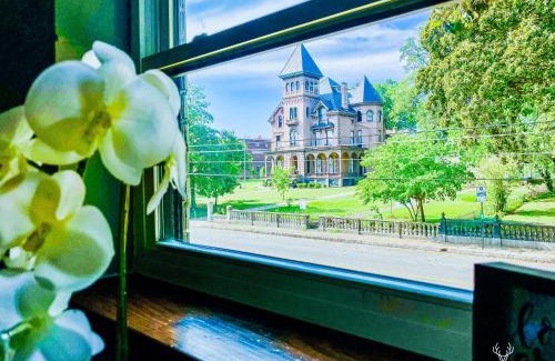 Downtown Memphis Apartment | The Moose at Memphis Downtown & Victorian Village