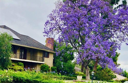 East Pasadena House | The“moving castle”,a French-style gem nestled in Pasadena