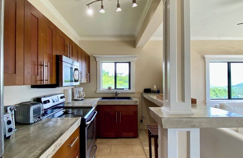 Green Cay Plantation Apartment | The Nest at Surewinds in beautiful St Thomas with WiFi, AC