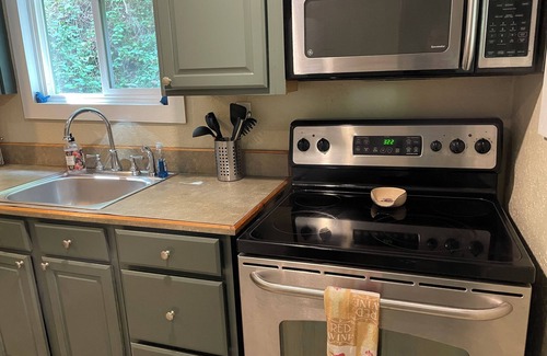 Marshall Cabin | The Nest: Cozy Cabin, Hot Tub, Walk to Downtown Marshall, NC.