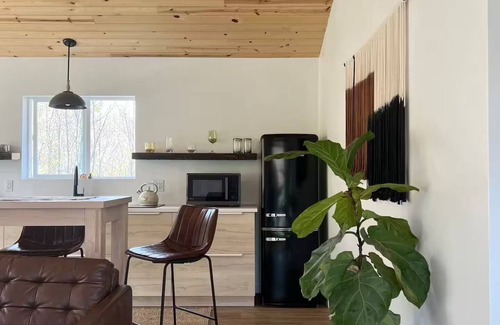 Menomonie House | The Nordic Nest- a unique getaway! Close to trails, Menomonie-Stout- 6 miles