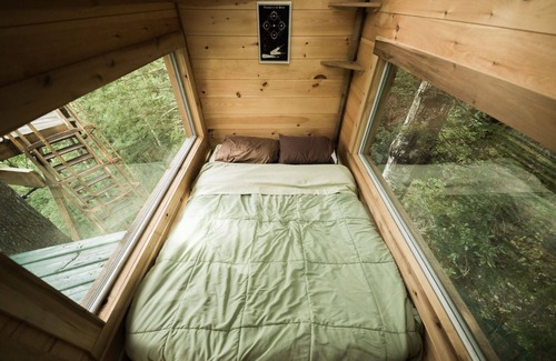 Stanton Hotel | The Observatory Treehouse: To Infinity and Beyond!