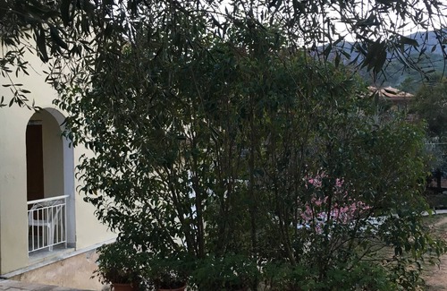 Kassiopi House | The Olive Grove House, in Kassiopi with all amenities in 5 min walking distance!