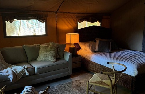 Pueblo Bed & Breakfast | The ONLY glamping site in the New Millennium Forest in San Juan, PR