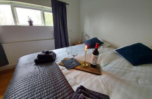 Laugaras Apartment | The Organist House in Golden Circle