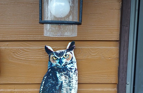 Rapid City House | The Owl's Nest, Black Hills Vacation Home located in Central Black Hills