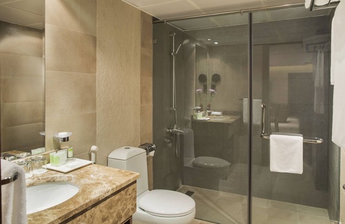 Salwa Hotel | The Palms Beach Hotel And Spa