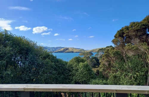 Dunedin House | The Perch is the ideal base to explore the stunning Otago Peninsula