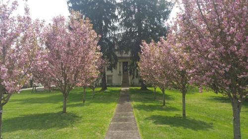 Dresden Bed & Breakfast | The Pines of Dresden
