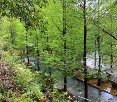 Xinshe Bed & Breakfast | The Pines