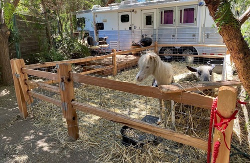 Temecula House | The Pony Experience Farm Stay! 501c3