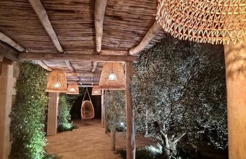 Dolceacqua Villa | The real Dolce Vita, villa with infinity pool surrounded by olive trees